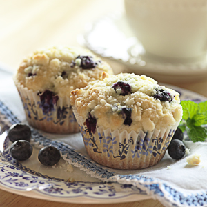 Canderel Sugarly Test - Blueberry Muffins